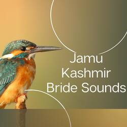 Jamu Kashmir Bride Sounds-Ah8uVllnWEs