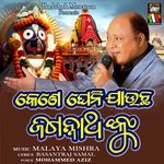 Kene Gheni Jaucha Jagannathnku