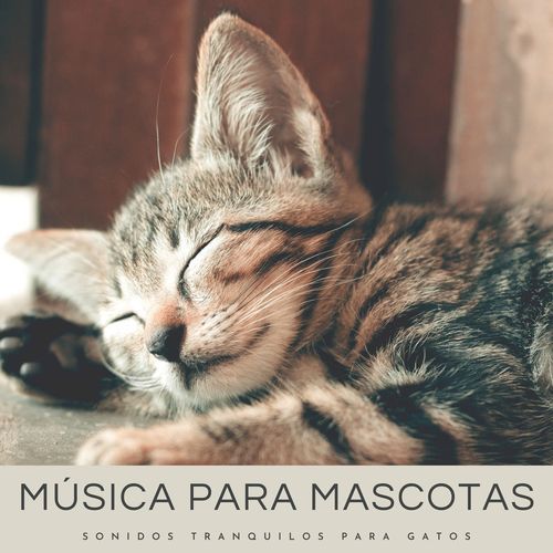 Música Para Dormir Perros y Gatos cover art