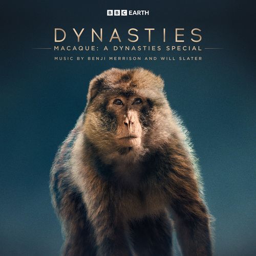 Macaque: A Dynasties Special (Original Television Soundtrack)_poster_image