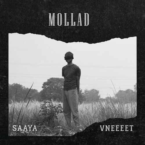 Mollad