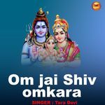 Om Jai Shiv Omkara