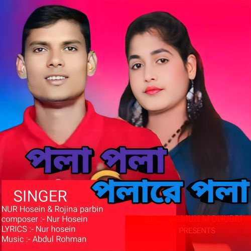 Pola Pola Polare Pola