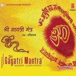 Shree Gayatri Mantra