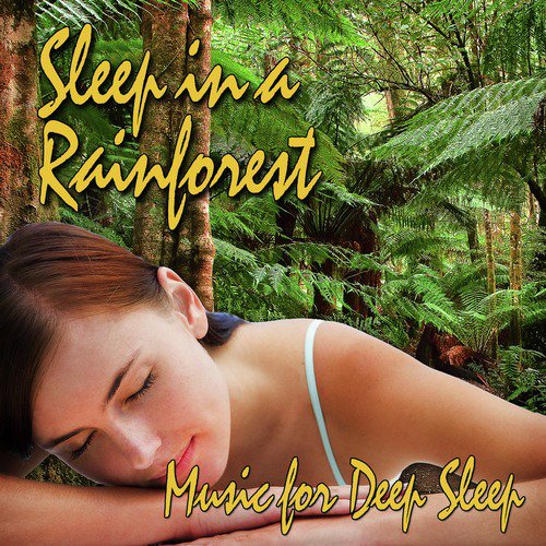 Sleep in a Rainforest (Nature Sound)_poster_image