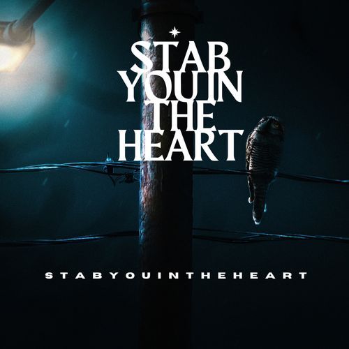Stabyouintheheart