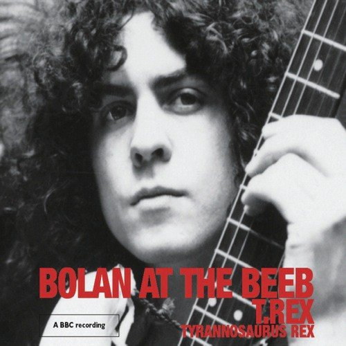 Marc Bolan – The Wizard Lyrics