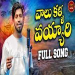 Vaalu Kalla Vayyari