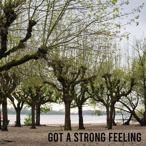 got a strong feeling