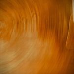 until the morning light