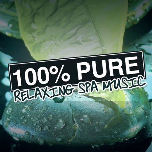 100% Pure Relaxing Spa Music