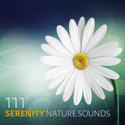 Namaste Healing Yoga cover art