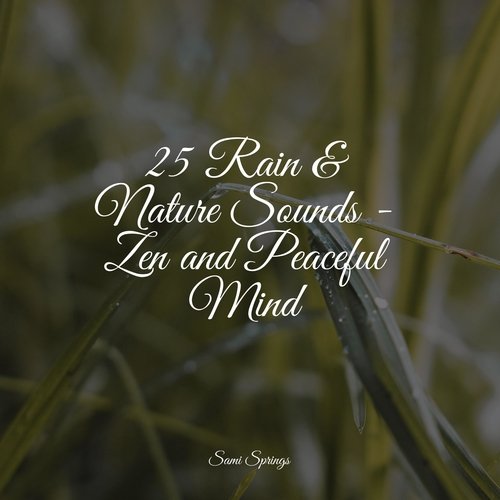 Rain, Storm and Thunder cover art