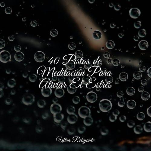 40 Pistas de Meditación Para Aliviar El Estrés