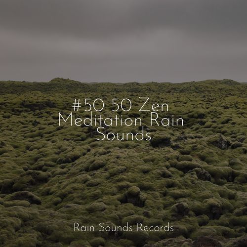 #50 50 Zen Meditation Rain Sounds