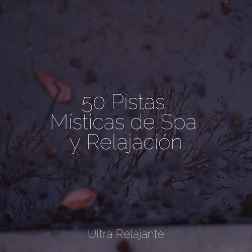 Canciones De Cuna cover art