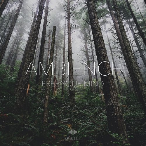 Ambience_poster_image