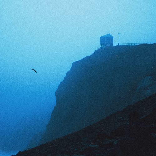 Ambience