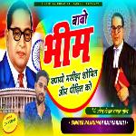 Babo Bheem Banyo Masiha Shoshit Aur Peedit Ko