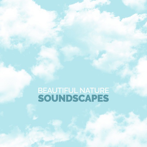 Water Source cover art