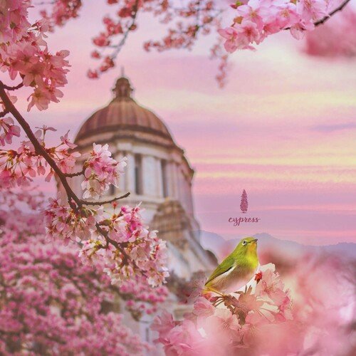 Music Friend The Consoles You For The Lonely Night (Spring Night Cricket Sound) cover art