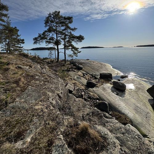 Day After Nuclear War