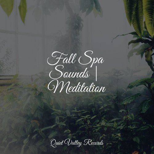 Fall Spa Sounds | Meditation
