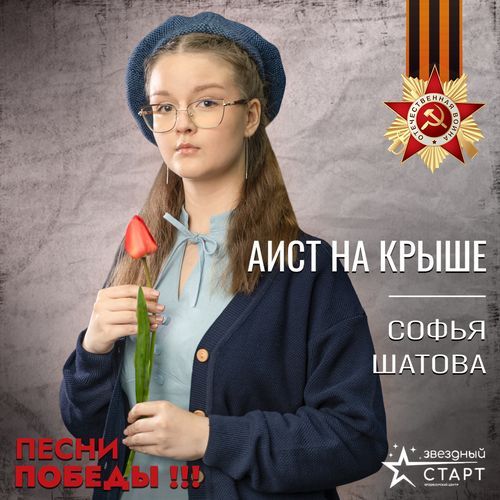 Аист на крыше