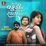 Mari Chakudi Ne Bija Mate Radata Joi