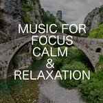 Music For Focus Calm & Relaxation