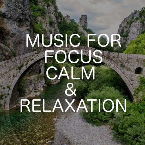 Music For Focus Calm & Relaxation_poster_image