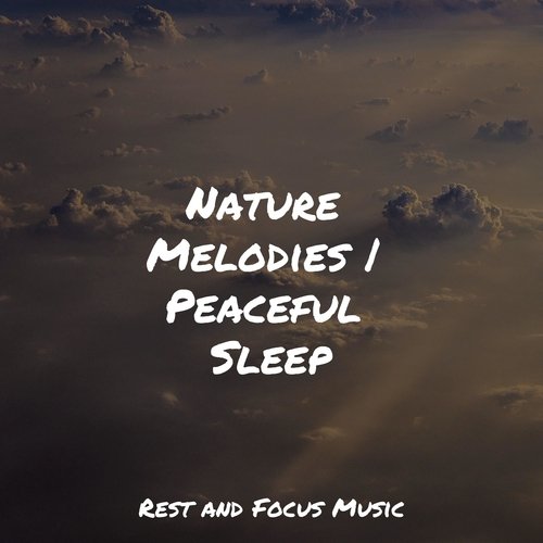All Day Relaxation cover art