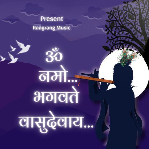 Om Namo Bhagavate Vasudevay