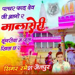 पत्थर फाड़ देव जी आगो र मालासेरी डूंगरीया म फूल खिल छ र