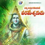 Paccha Pacchani Kondalo Parameswarudu