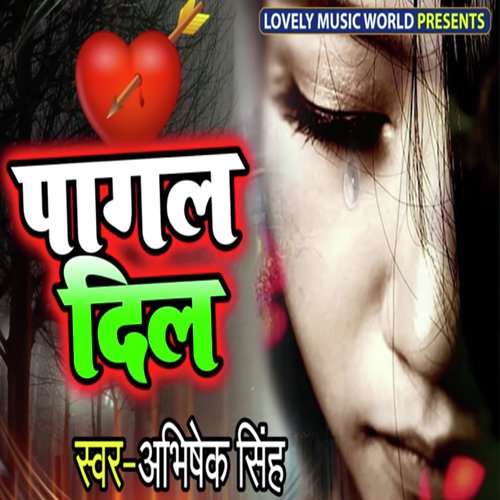 Pagal Dil_poster_image