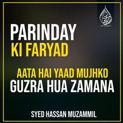 Parinday Ki Faryad Aata Hai Yaad Mujhko Guzra Hua Zamana-AFsvaA5JDkM