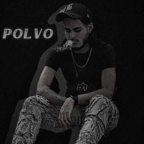 Polvo cover art