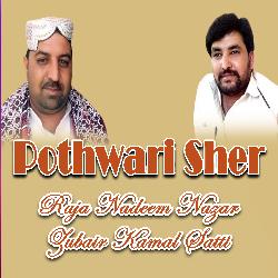 Pothwari Sher-FzsYBhddYVI