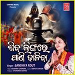 Shiva Lingare Pani Dhaliba