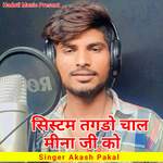 Sistam Taigado Chaal Meena Jee Ko