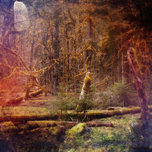Coppola cover art