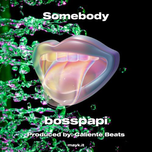 Somebody cover art