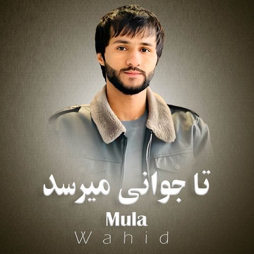 Sher Zada Sher Bash cover art