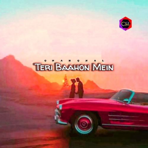 Teri Baahon Mein