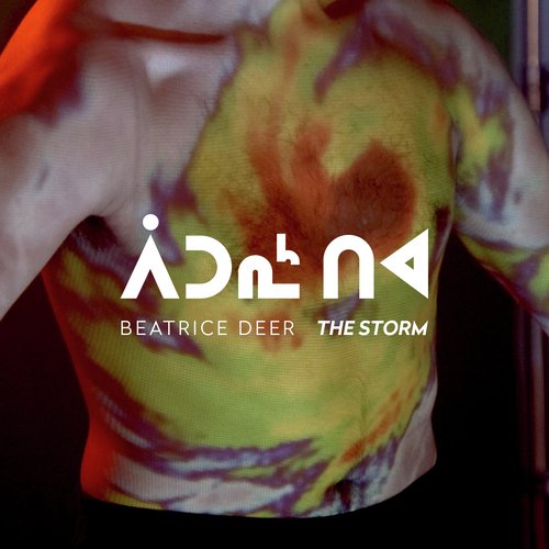 THE STORM cover art