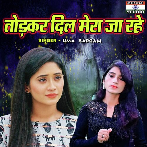 Todkar Dil Mera Ja Rahe