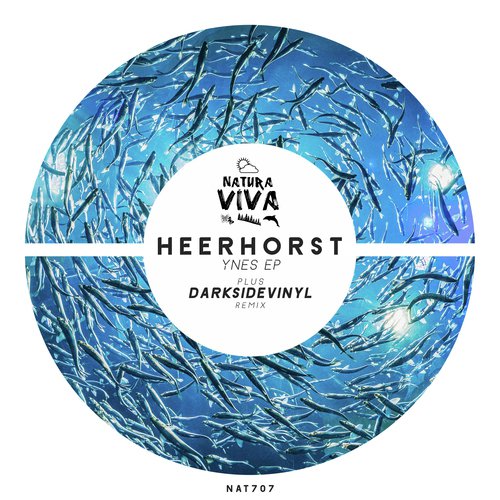 Ynes (Darksidevinyl Remix) cover art