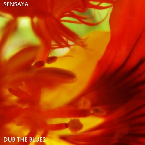 Sensaya Dub cover art