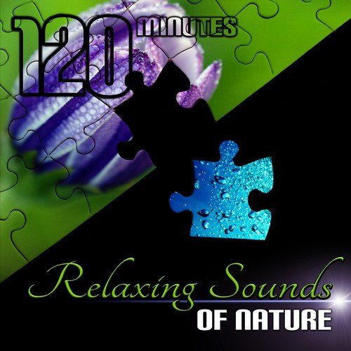 120 Minutes Relaxing Sounds of Nature for Deep Sleep, Meditation, Yoga, Home Spa, Total Relax, Reduce Stress